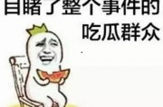 街机大亨发家史 