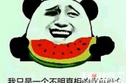 你是什么梗 